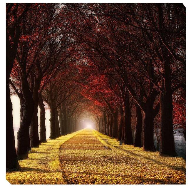 Lars Van de Goor 'Wonder Curve' Canvas Giclee Art