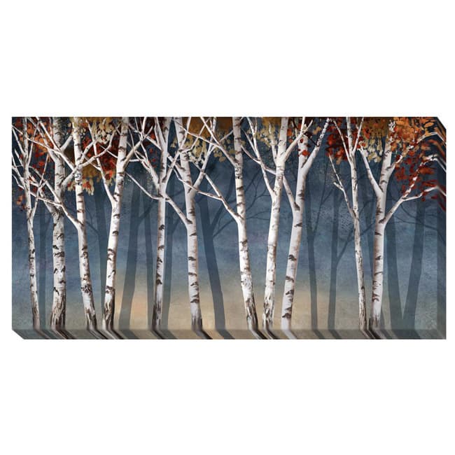 Conrad Knutsen 'Birch Shadows' Canvas Art - Multi