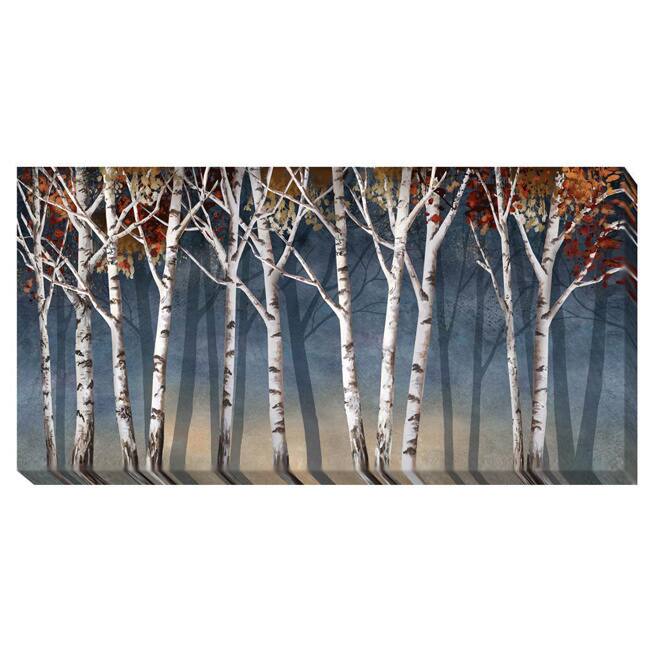 Conrad Knutsen 'Birch Shadows' Canvas Art - Multi