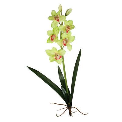 Green 31-inch Cymbidium Orchid Spray Decorative Flower (Set of 6)