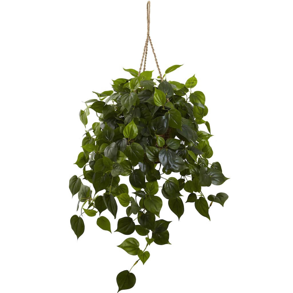 Philodendron Hanging Basket UV Resistant (Indoor/ Outdoor)