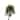 Philodendron Hanging Basket UV Resistant (Indoor/ Outdoor)