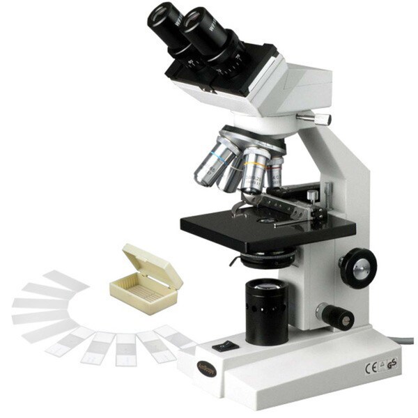 AmScope 40x-1000x Binocular Biological Microscope