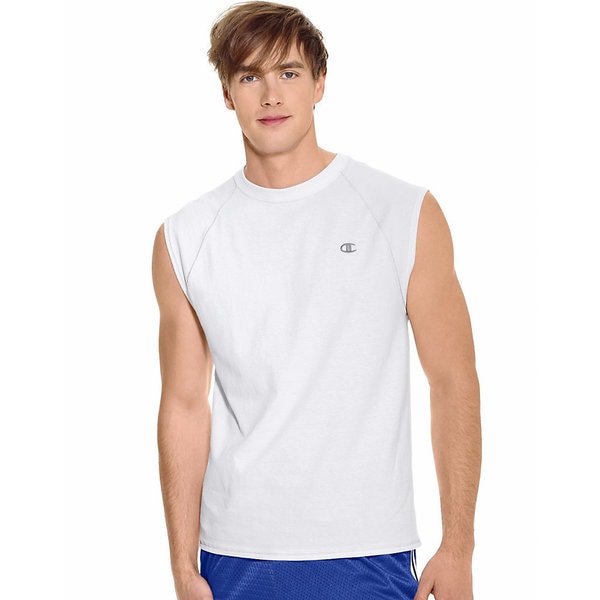 Download Champion Men's Cotton Jersey Raglan T-shirt - Overstock ...