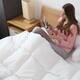 Cheer Collection Luxury All Season White Down Alternative Comforter