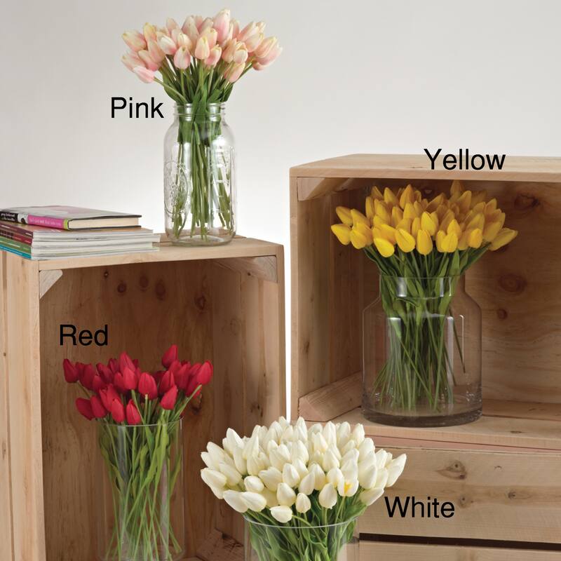 Petite Tulip - set of 12 - Pink