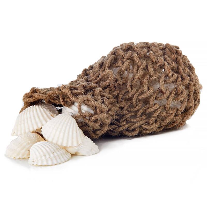 5-inch x 5-inch x 6.5-inch Clam Shells in Bag (Pack of 6)