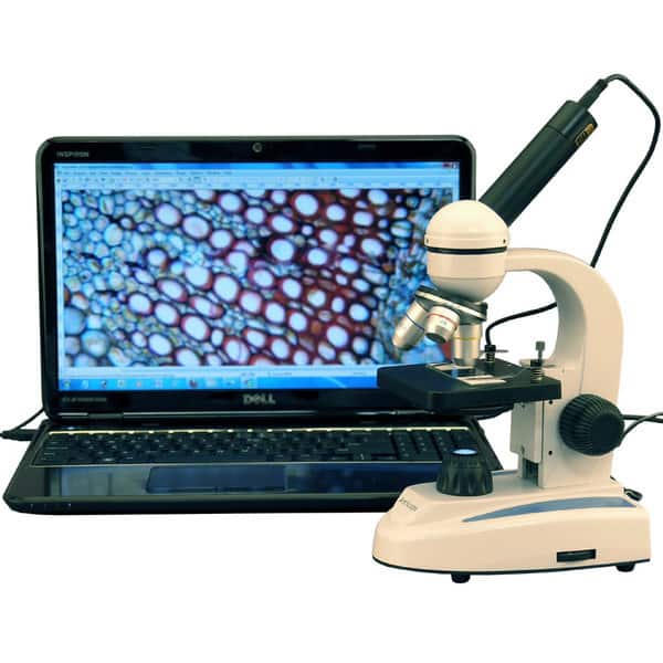 AmScope 40x-800x Student Biological Microscope with Digital Imager ...