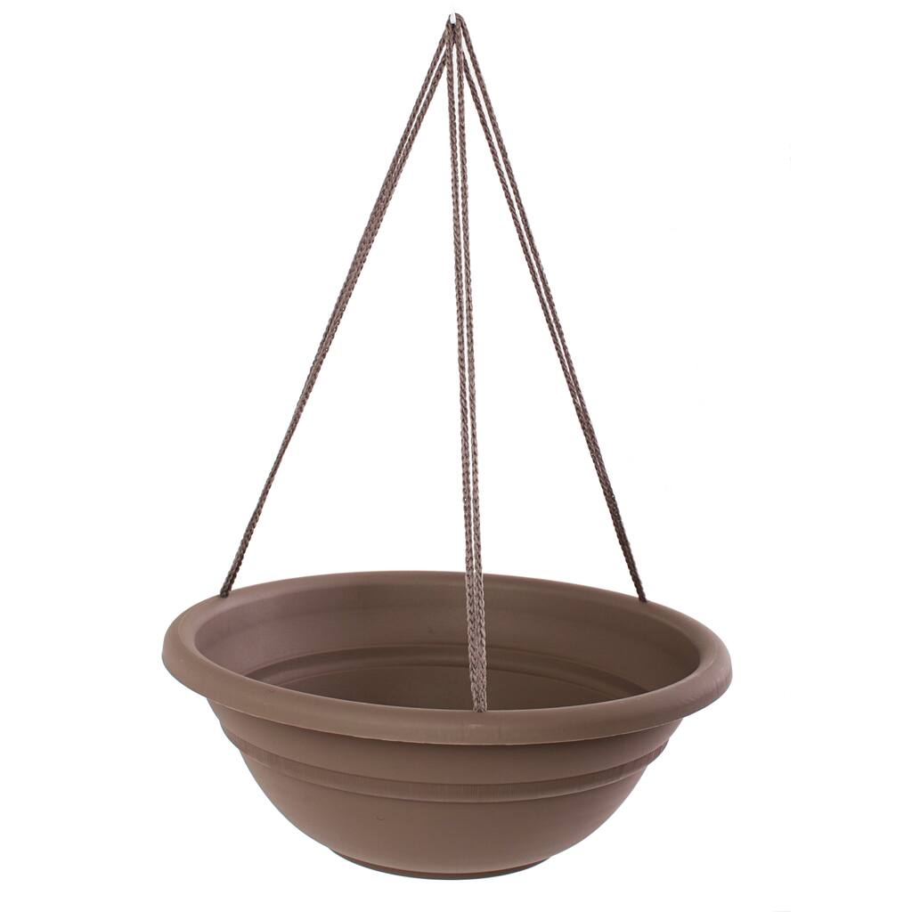 Bloem 17-inch Milano Curated Hanging Basket