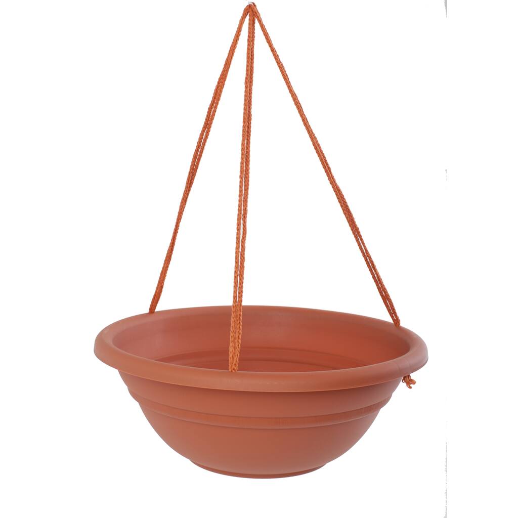 Bloem 17-inch Milano Terra Cotta Hanging Basket