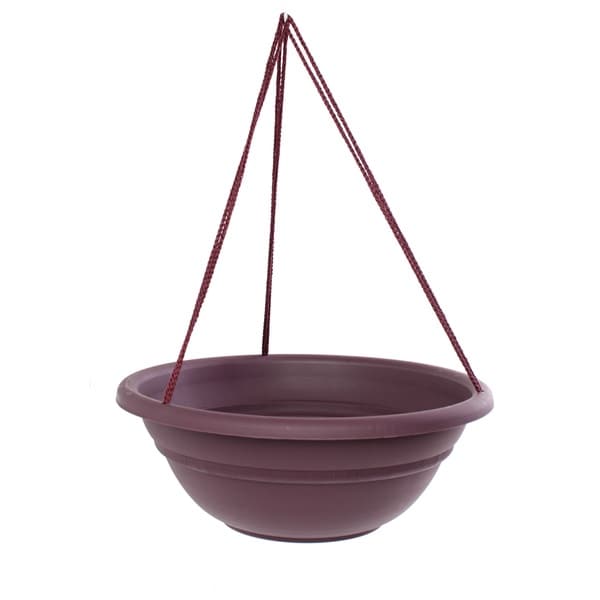Bloem 17-inch Milano Exotica Hanging Basket