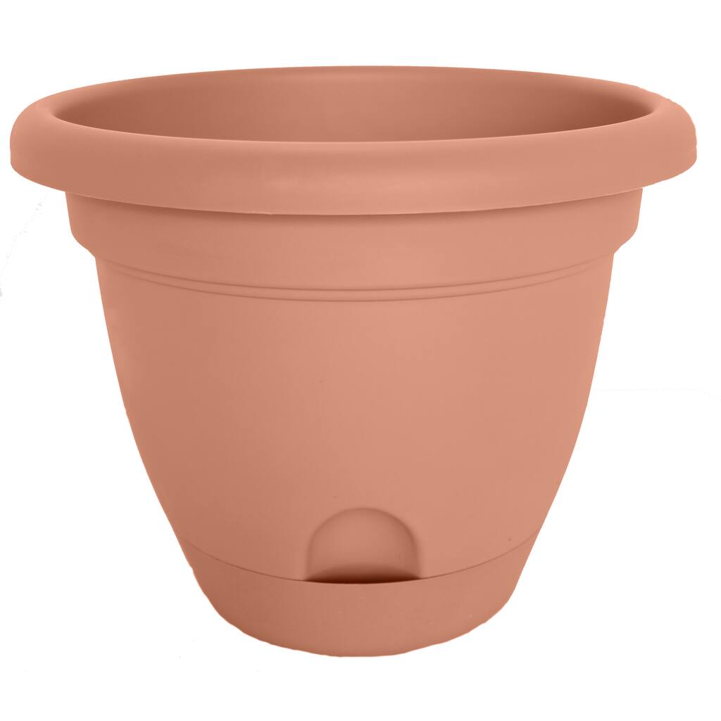 Bloem Lucca Terra Cotta Planter