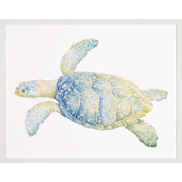 Sea Turtles Framed Art Print Free Shipping Today Overstock 16901909