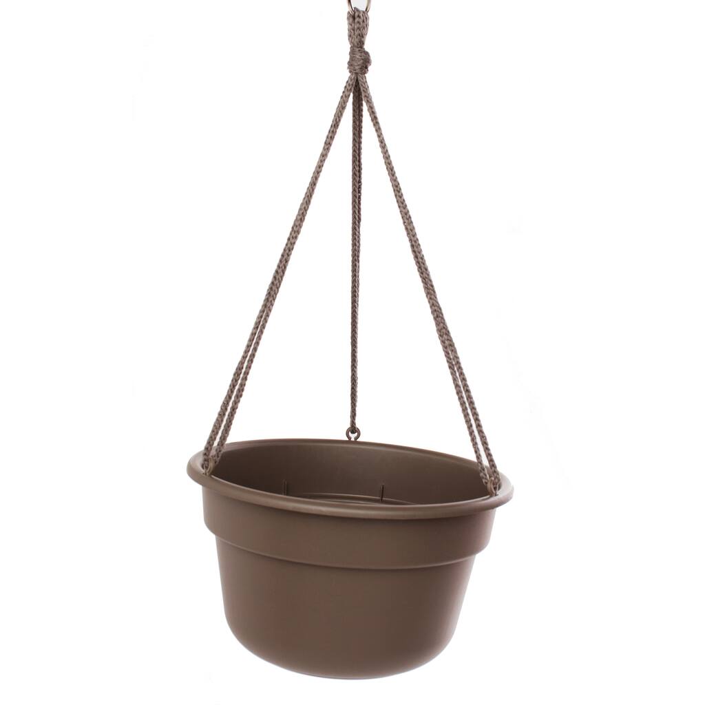 Bloem Curated Dura Cotta Hanging Basket