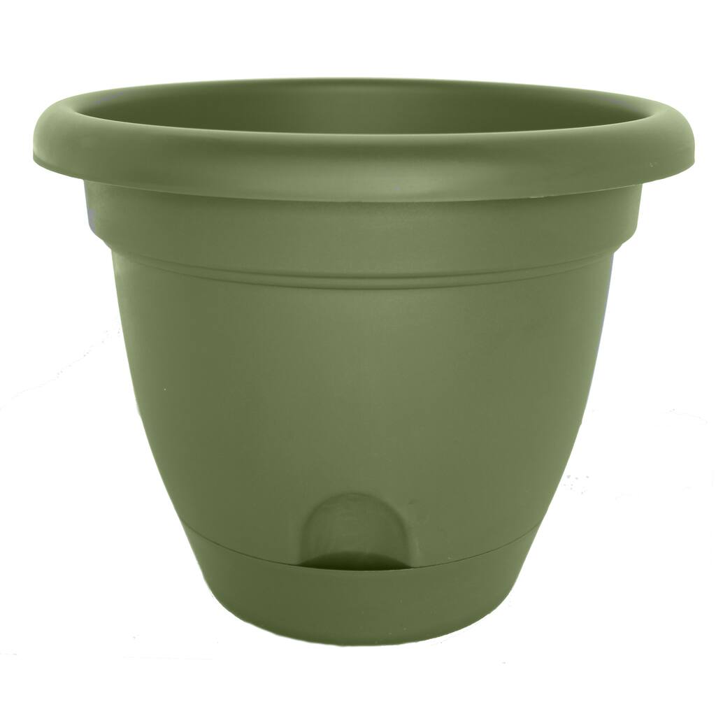 Bloem Lucca Living Green Planter (Pack of 12)