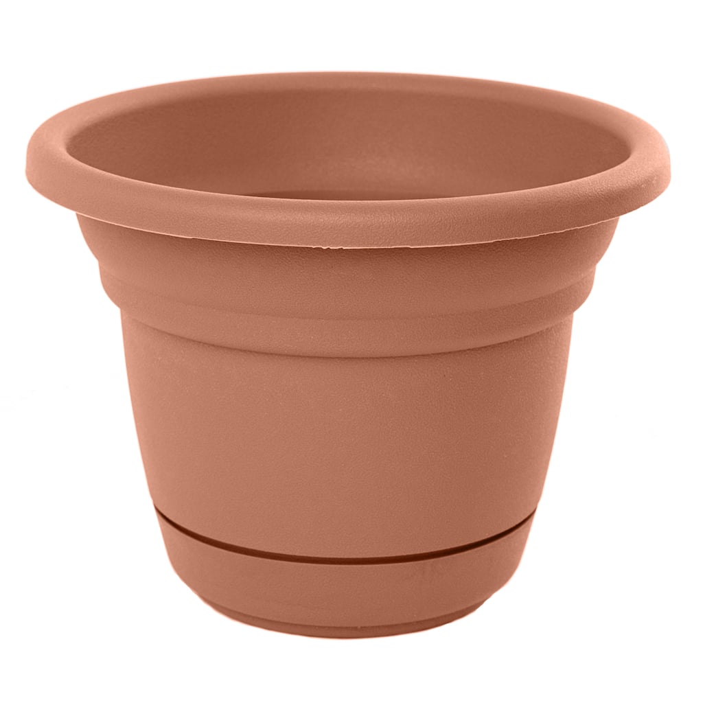 Bloem Tahoe Curated Planter (Pack of 6)