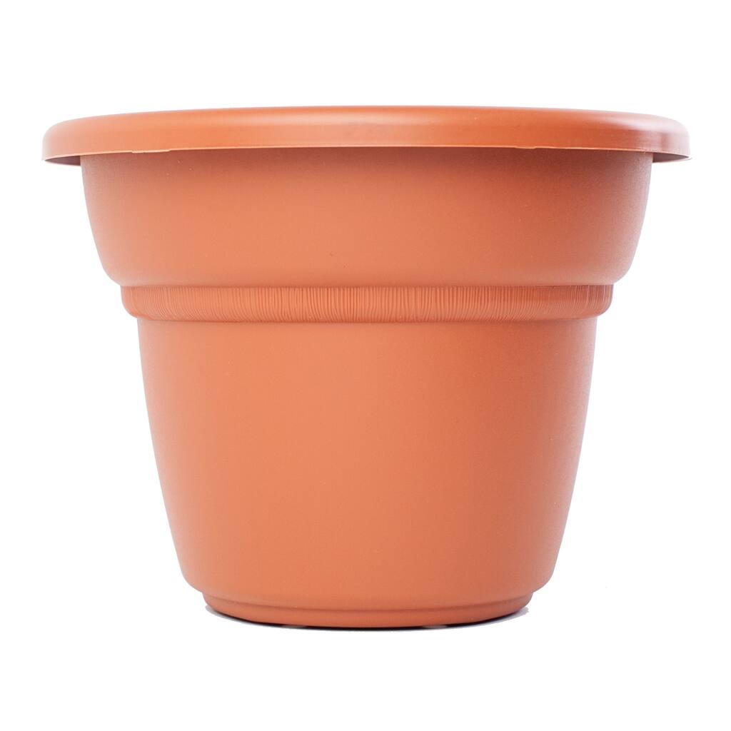 Bloem Milano Terra Cotta Planter (Pack of 6)