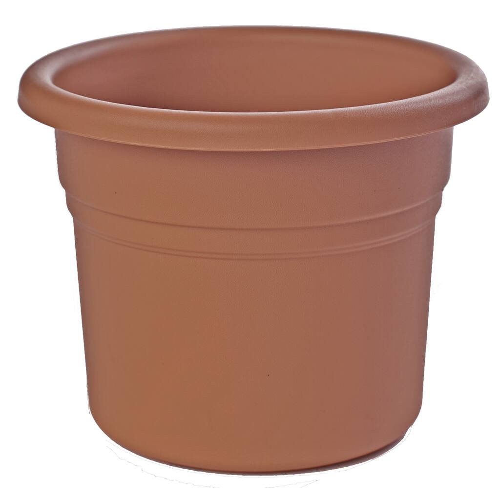 Bloem Posy Terra Cotta Planter