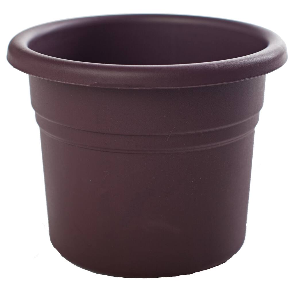 Bloem Posy Exotica Planter (Pack of 8)