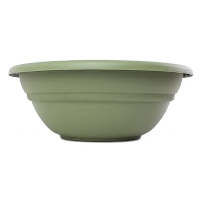 Bloem Milano Living Green Bowl Planter (Pack of 6)