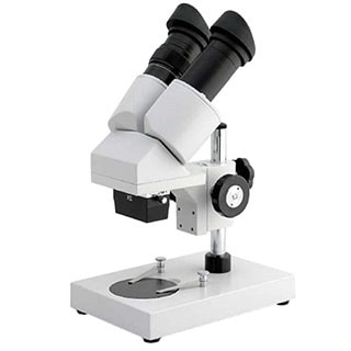 AmScope 20x-50x Portable LED Stereo Microscope - Free ...