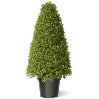 36-inch Boxwood Tree with Green Pot - Bed Bath & Beyond - 9756652