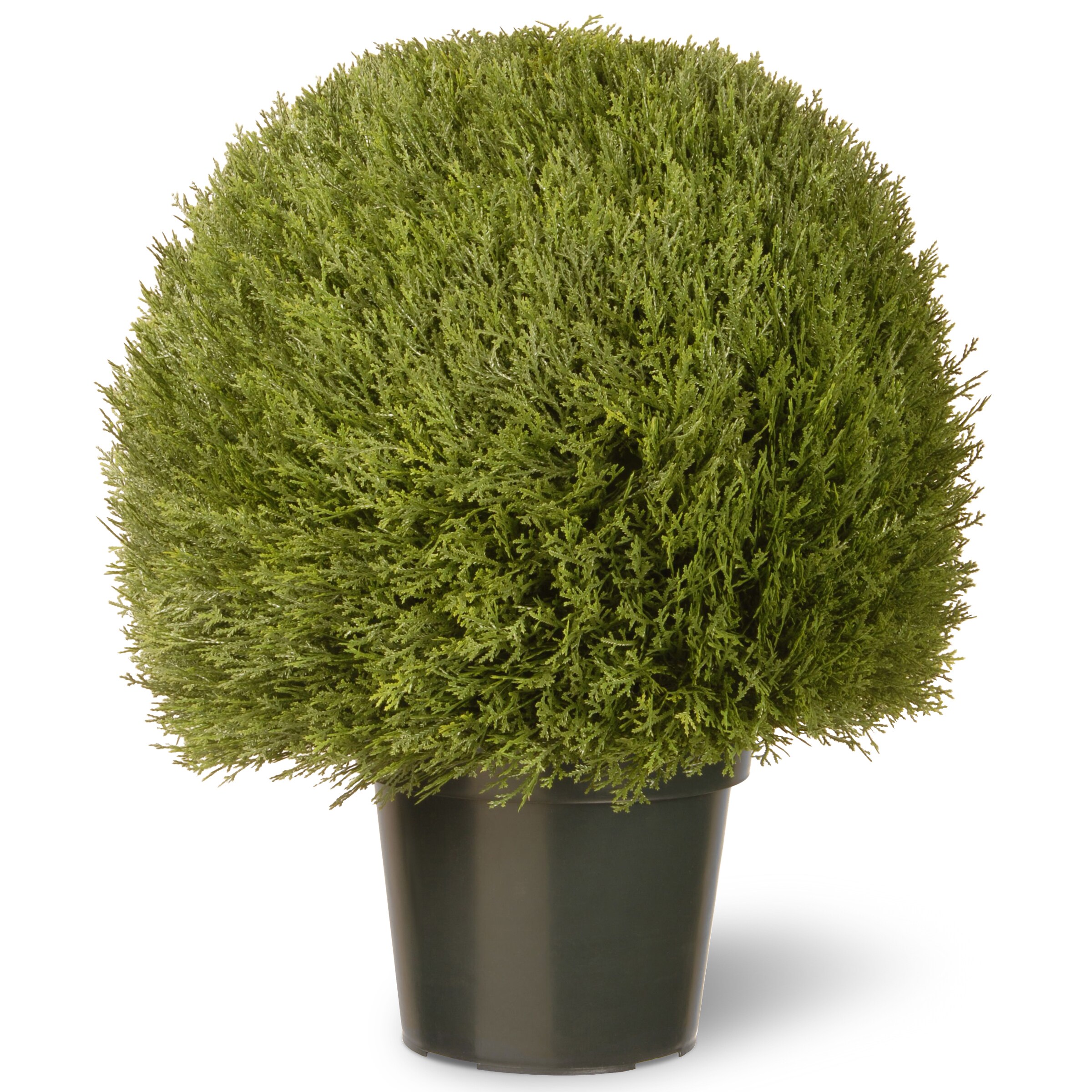 Nearly Natural 2ft Silk Trees Green Mini Cedar Pine Indoor//Outdoor