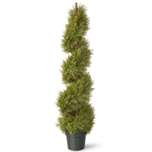 48-inch Juniper Slim Spiral with Green Pot