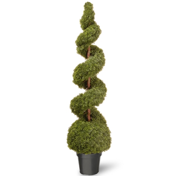 60-inch Cedar Spiral with Ball in Green Pot