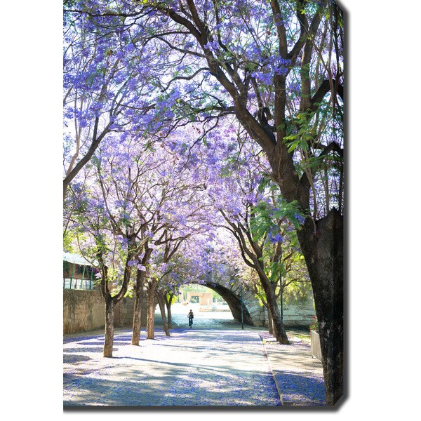 Shop Purple Flowers in Seville, Spain' Photography Canvas Art Free