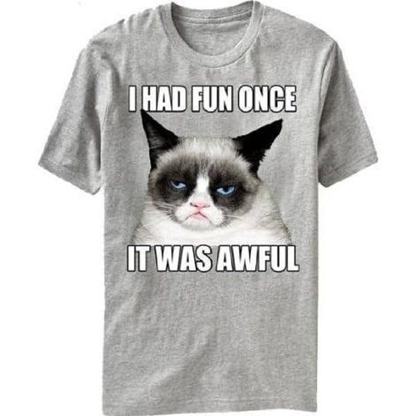 Shop Men's Official Grumpy Cat I Had Fun Once It Was Awful Tshirt Free Shipping On Orders