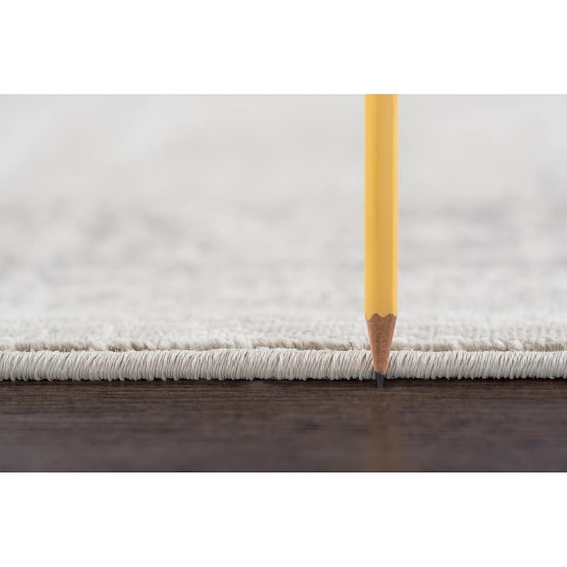Essence Shabby Chic Oriental Indoor Area Rug