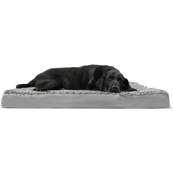 Customer Reviews: Furhaven Pet Dog Bed ... - Amazon.com - Furhaven Quilted Orthopedic Sofa Dog & Cat Bed