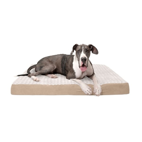pets at home dog mattress