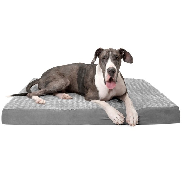 furhaven orthopedic pet bed jumbo