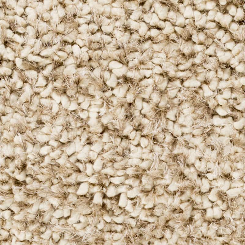 Hand-Woven Kendall Solid Area Rug