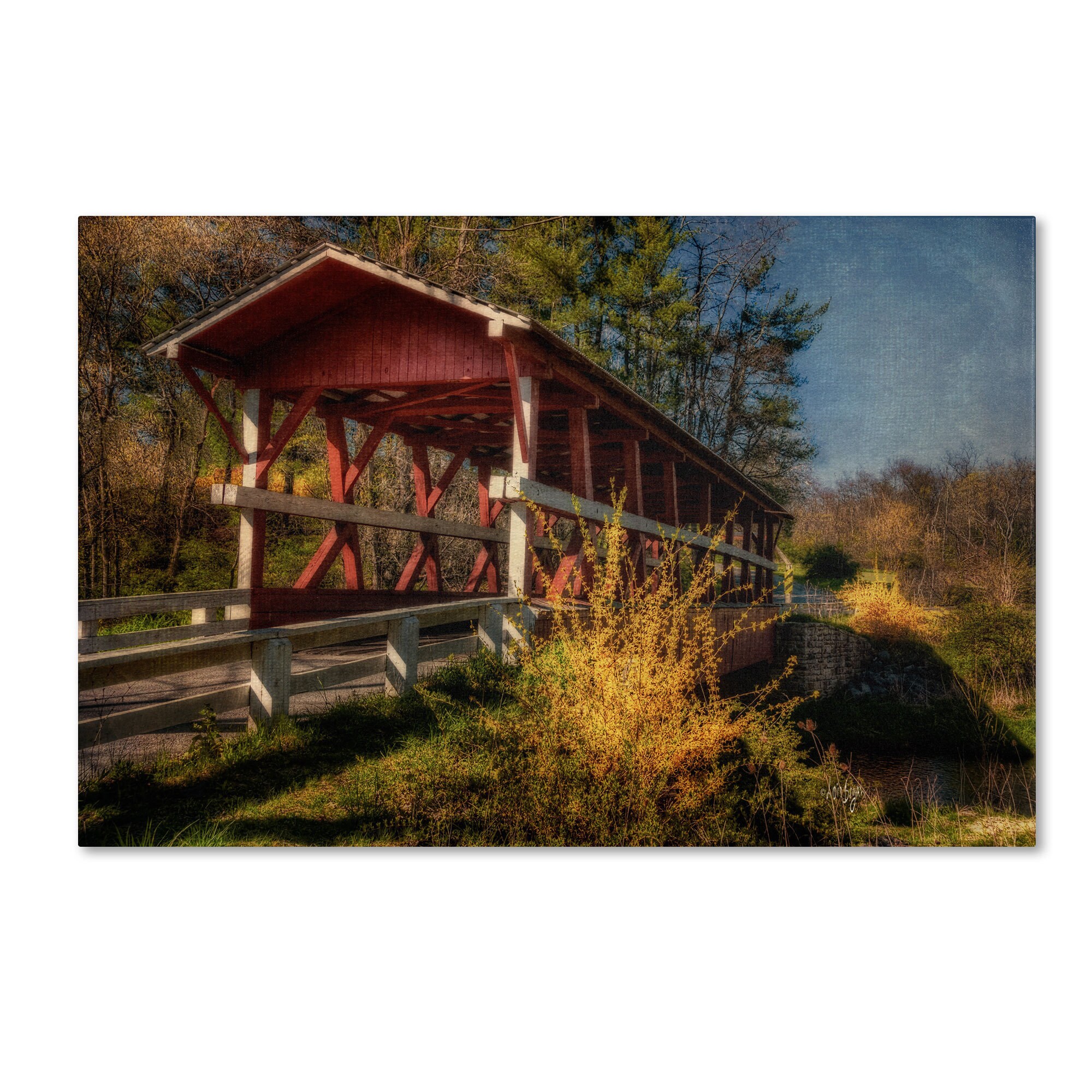 Shop Lois Bryan Crossing Shawnee Creek Canvas Art Free