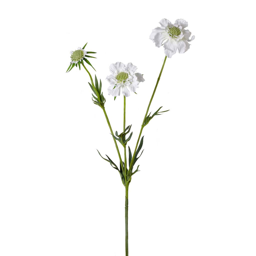 28.5-inch Scabiosa Spray (Pack of 6)