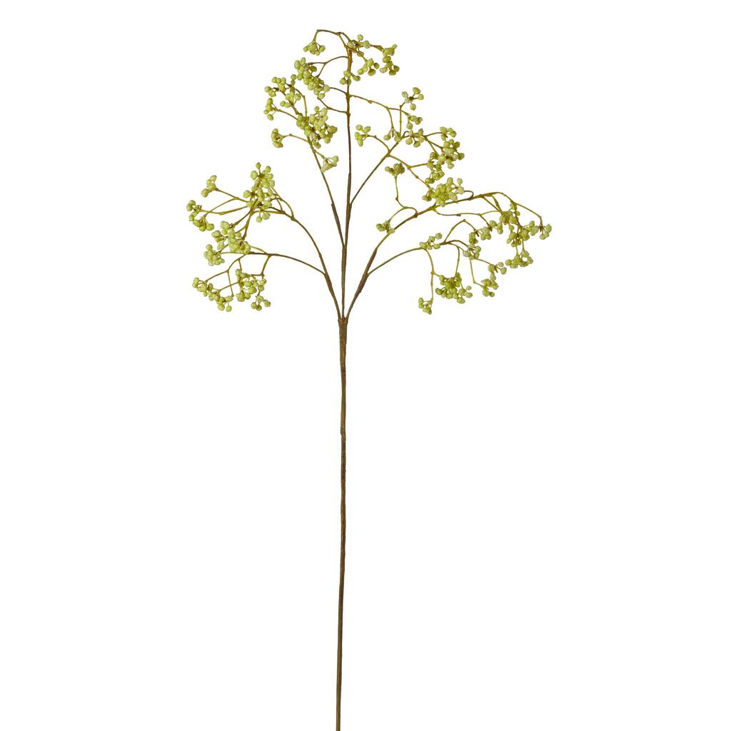 24-inch Seed Spray (Pack of 6)