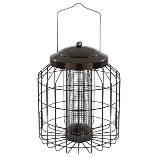 Shop Gardman Squirrel Proof Peanut And Sunflower Seed Feeder