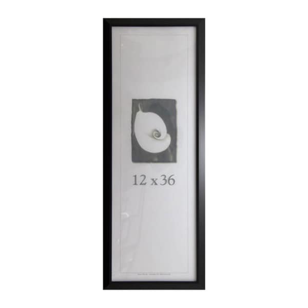 budget-saver-12-x-36-inch-picture-frame-free-shipping-on-orders-over