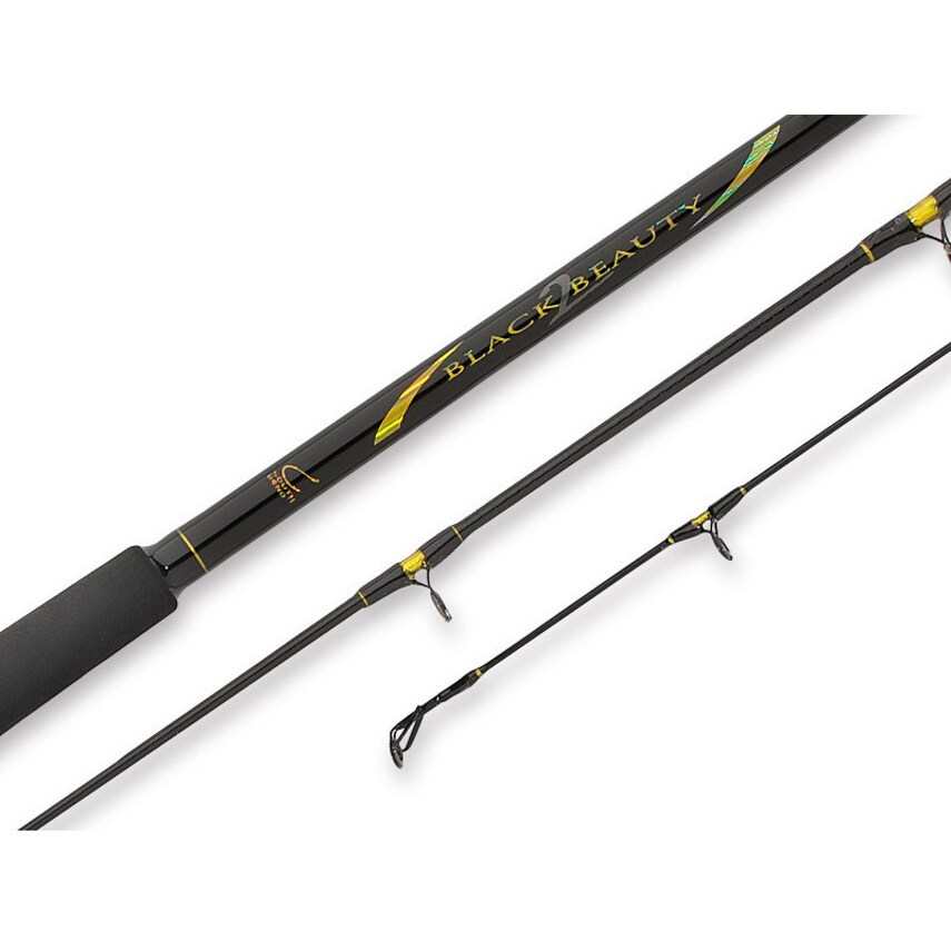 black beauty fishing rod