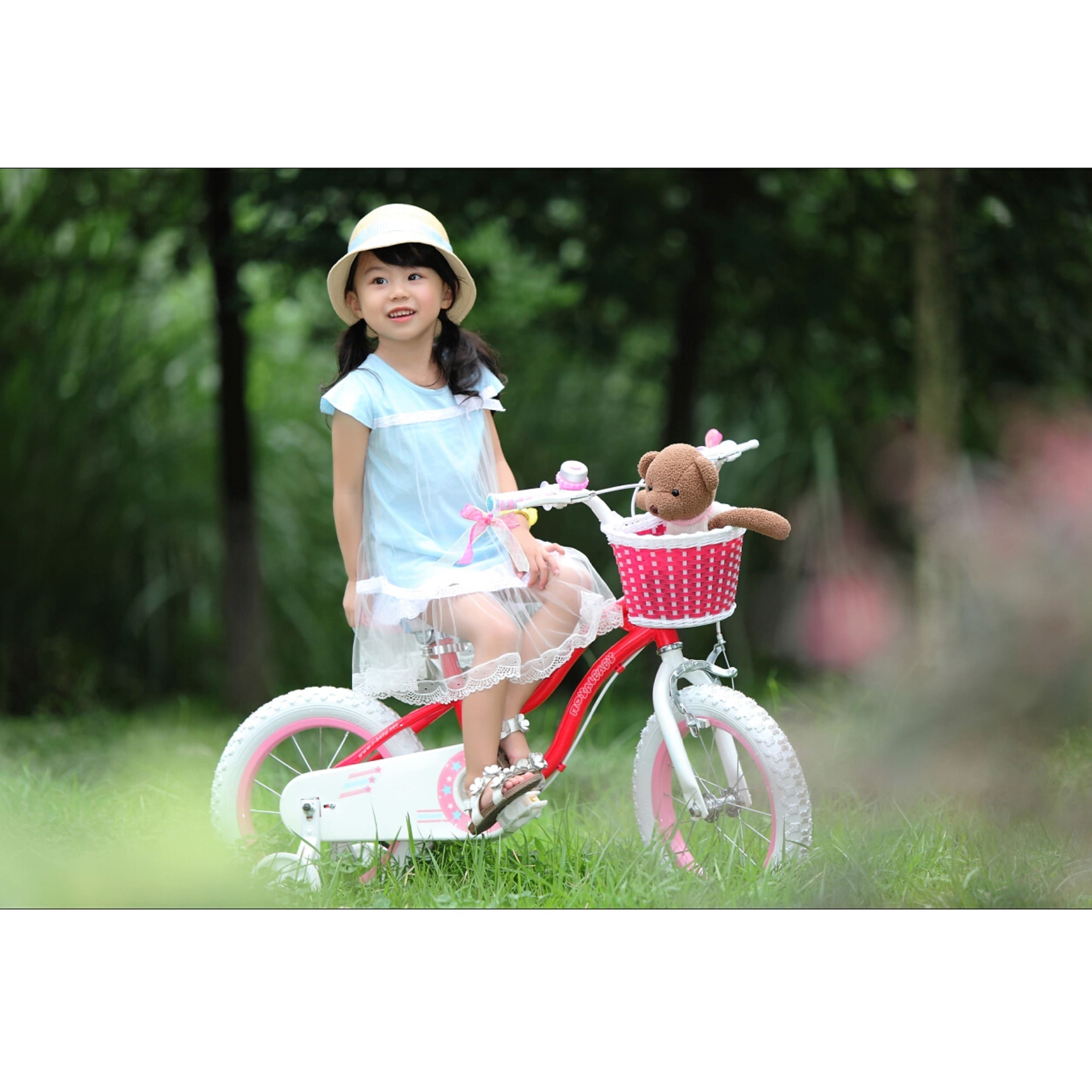 royalbaby stargirl bike 16