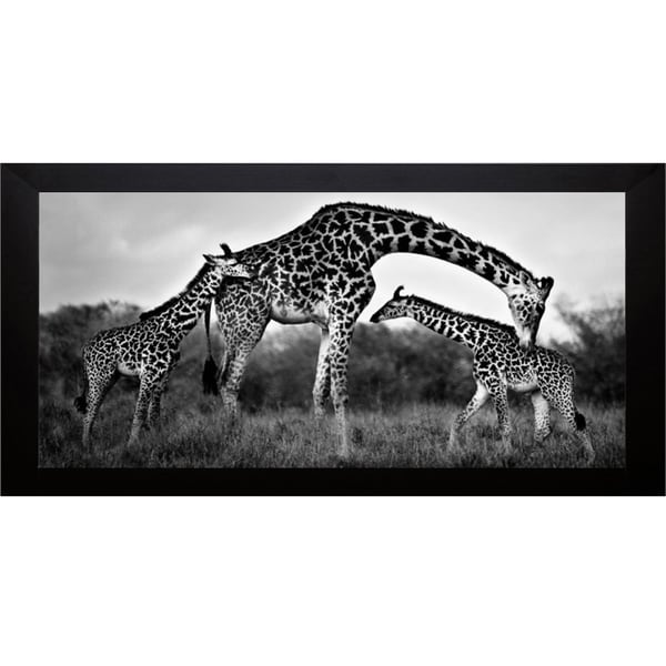 Xavier Ortega 'Giraffe Family' Framed Artwork