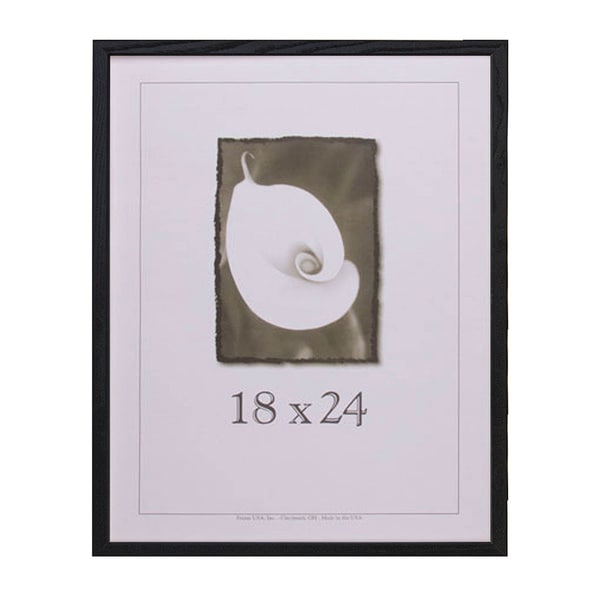 Architect Picture Frame (18u0026quot; x 24u0026quot;) - Free Shipping On Orders Over $45 ...