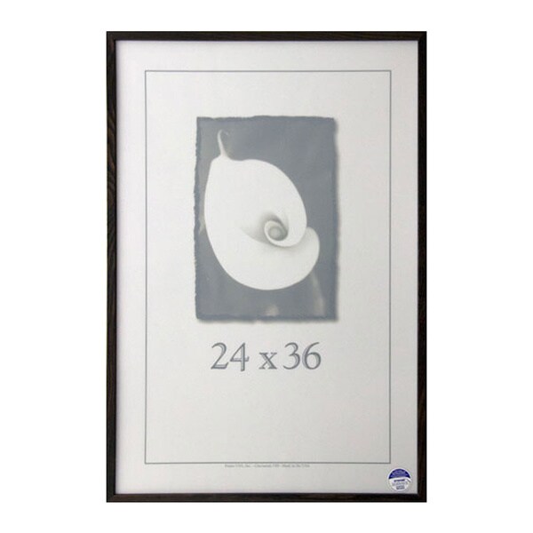 Architect Picture Frame (24" x 36") Free Shipping On Orders Over 45