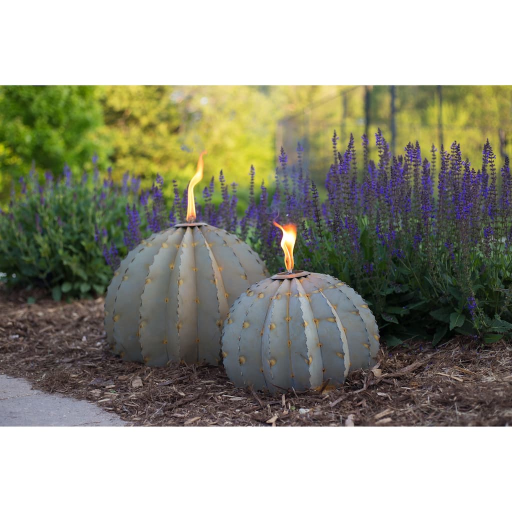 Desert Steel Small Golden Barrel Cactus with Torch