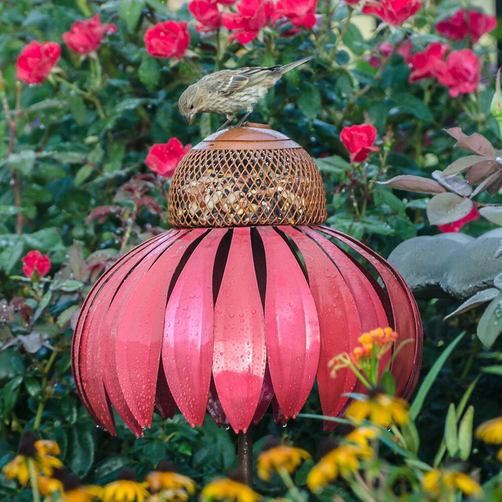 Shop Coneflower Pink Metal Bird Feeder Free Shipping Today