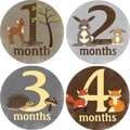 Rocket Bug Forest Critters Monthly Baby Bodysuit Stickers