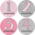 Rocket Bug Girly Grey Monthly Baby Bodysuit Stickers
